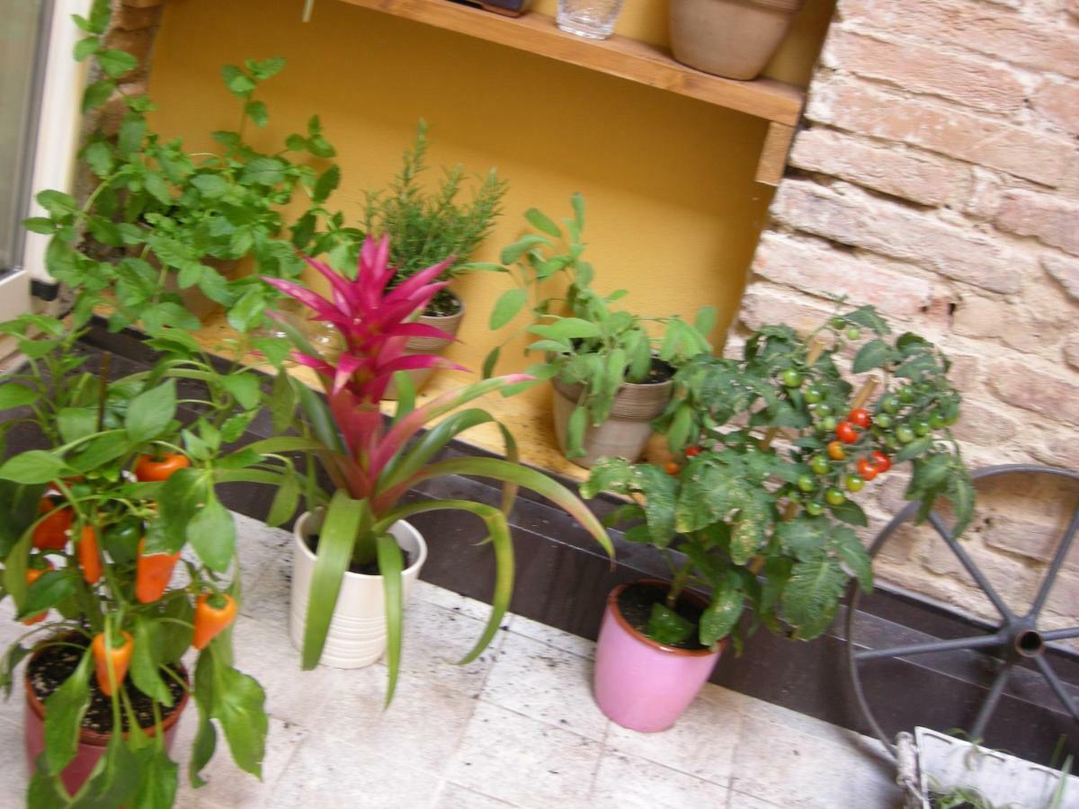 Appartement Terrazza Petroni à Bologne Extérieur photo